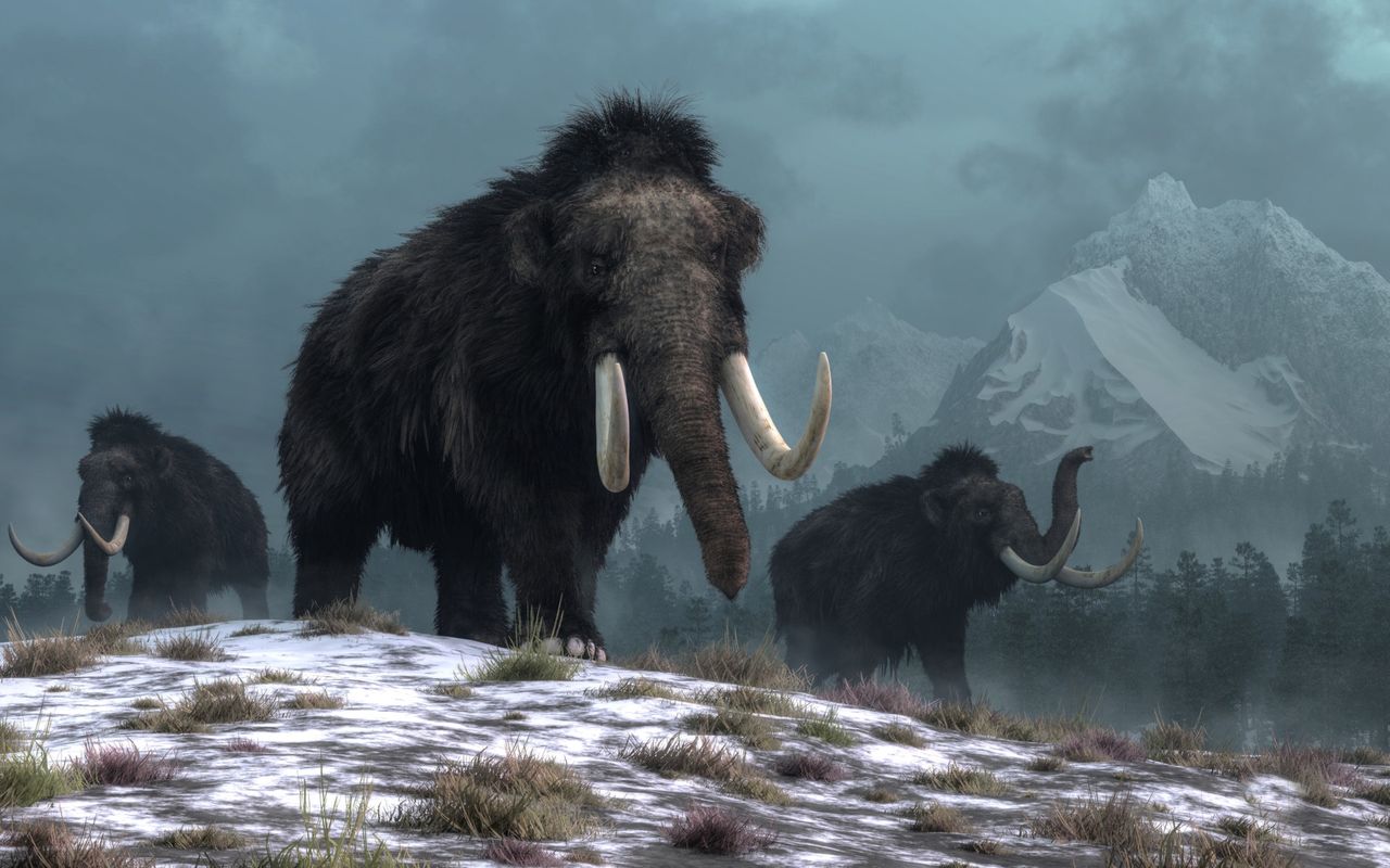 Russian billionaire's audacious plan. Resurrecting woolly mammoths to combat climate change