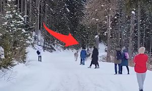 Niemal wpadły w turystów. Niesie się nagranie z Tatr