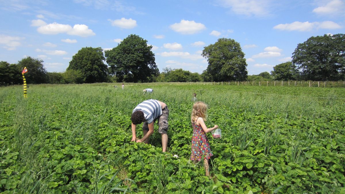 Pandemia nie była łaskawa dla rolników. Długi jednak nie oznaczają, że muszą pozbywać się swojej ziemi (zdj. ilustracyjne).