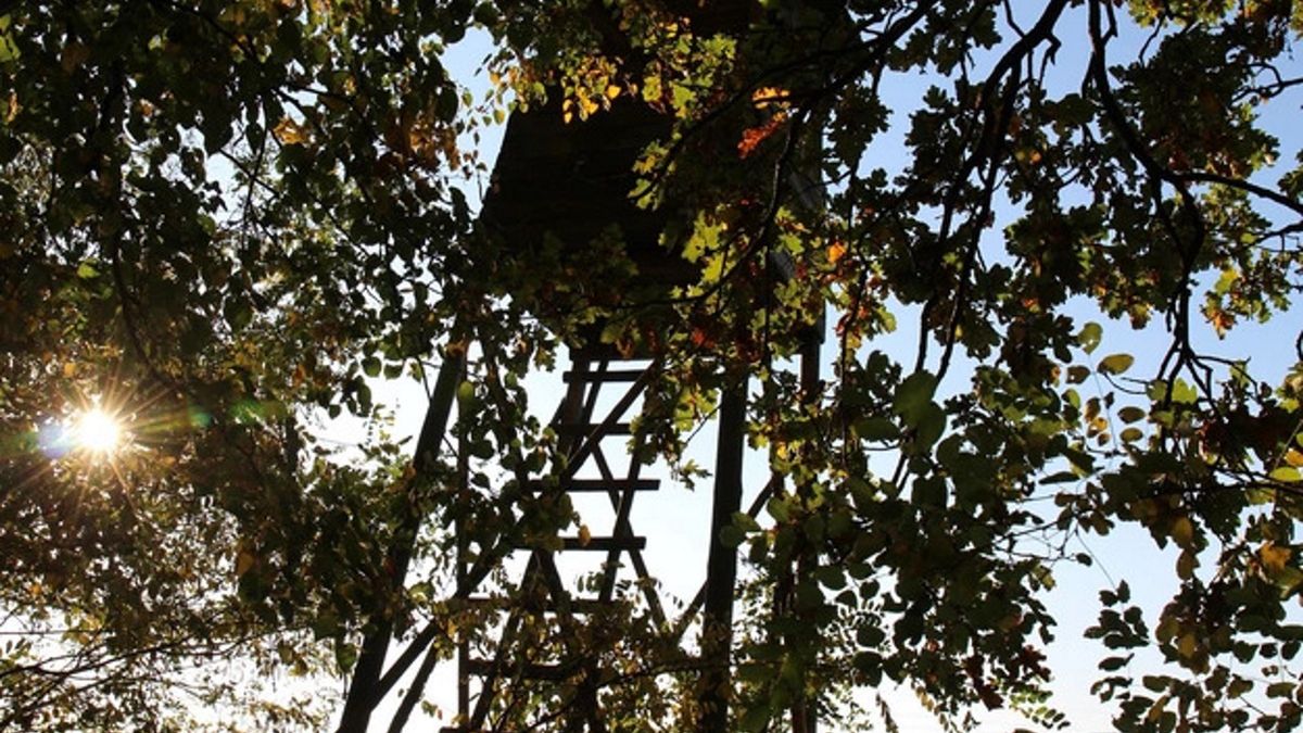 Zdjęcie ilustracyjne