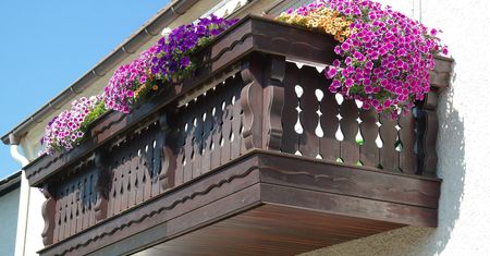 Niewymagające kwiaty na balkon