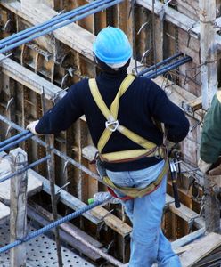 Wolą pracować w Niemczech. W Polsce ich wyjazd to będzie "natychmiastowy wstrząs"