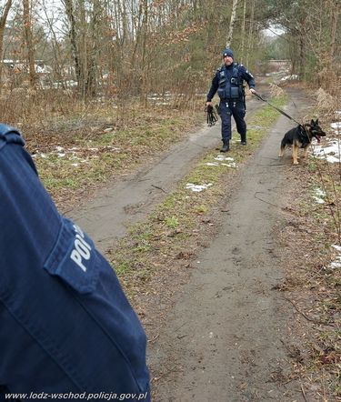 Zwłoki przy drodze. Policja zatrzymała podejrzanego o morderstwo