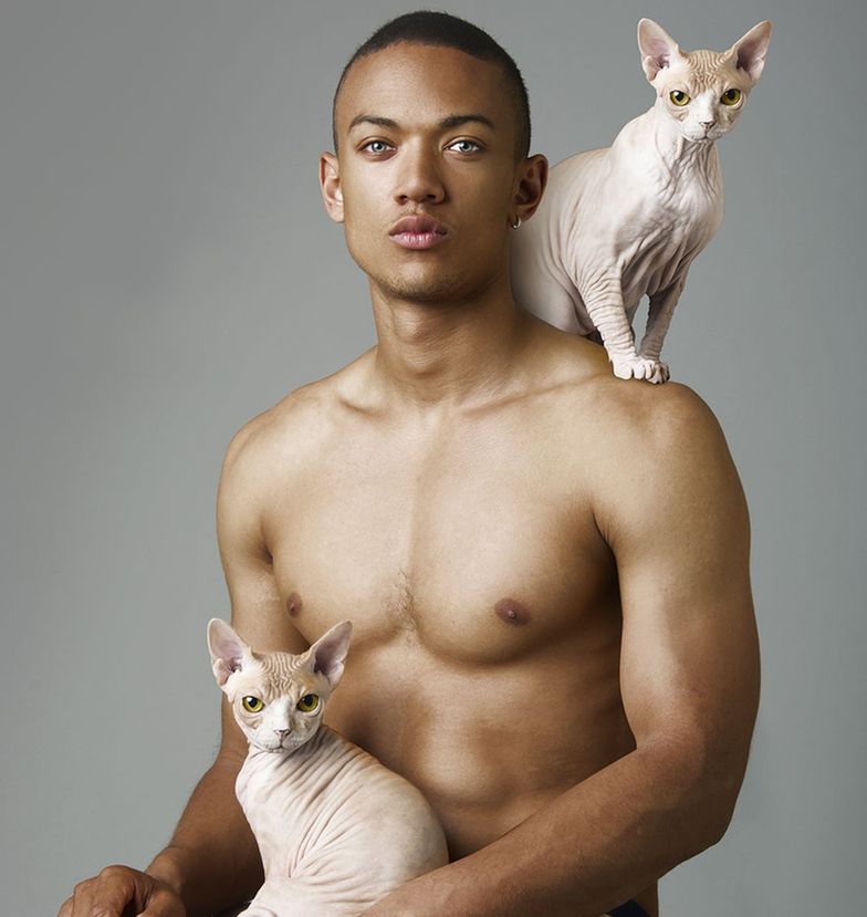 Modele pozują topless z… kotami. Seksowni?