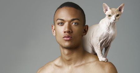 Modele pozują topless z... kotami. Seksowni? (ZDJĘCIA)