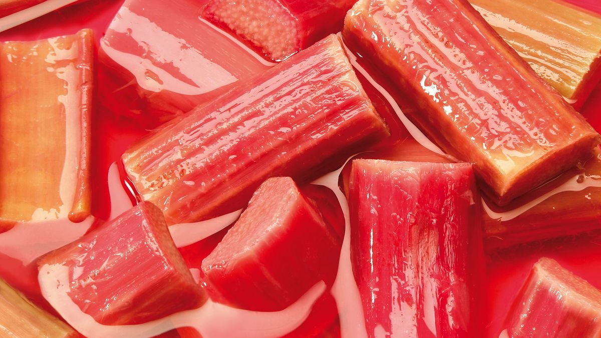 Maj to najlepszy czas na jedzenie rabarbaru