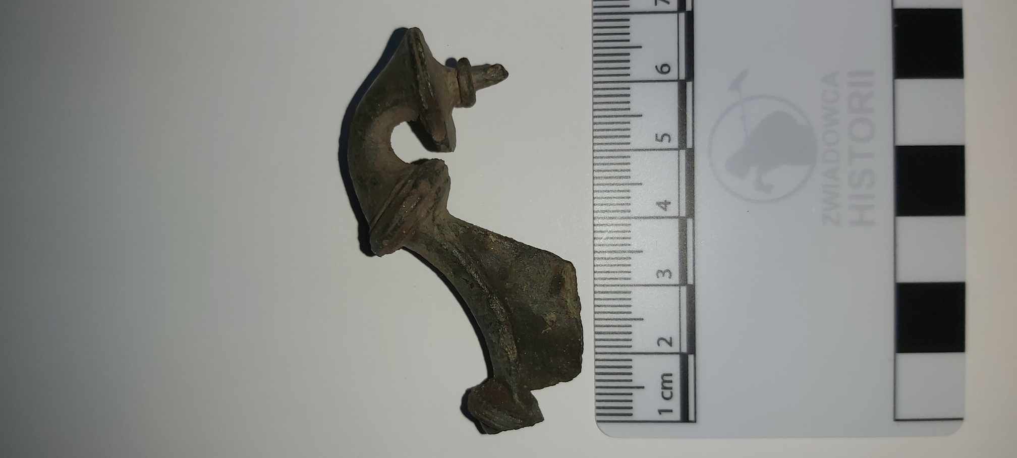 Odkrycie archeologiczne pod Płowcami podczas II Ogólnopolskiego Zlotu Poszukiwaczy 