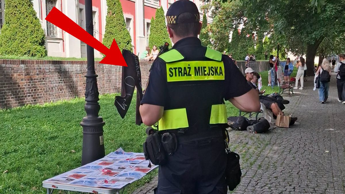 Złamali prawo. Interwencja służb w Poznaniu.