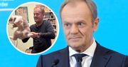 Donald Tusk sprawił sobie nowego zwierzaka. Jednym zdjęciem wywołał ostrą dyskusję