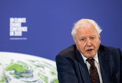 David Attenborough na Instagramie. Pobił rekord Guinnessa w osiąganiu miliona obserwujących