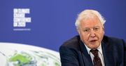 David Attenborough na Instagramie. Pobił rekord Guinnessa w osiąganiu miliona obserwujących