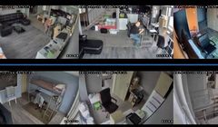 Internetowe reality-show Dzikowskich nie przyciągnie marek, za to może skrzywdzić dzieci (opinie)