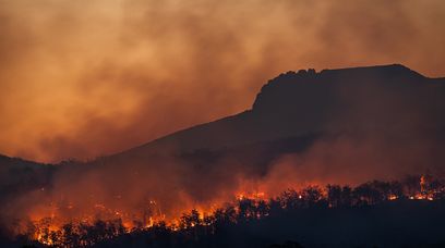 Wyjątkowo niebezpieczne lato w Australii. Są pierwsze ofiary śmiertelne