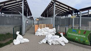 Przy schronisku dla bezdomnych zwierząt w Skaryszewie powstanie kociarnia. Gmina właśnie otrzymała dotację