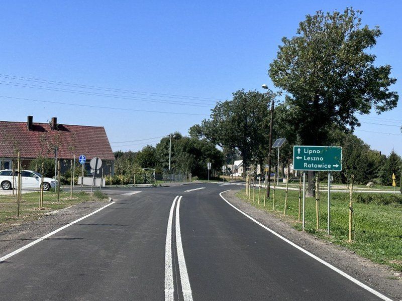 Droga Osieczna-Goniembice