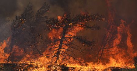 Australię czeka koszmarne lato. Wysokie temperatury i pożary