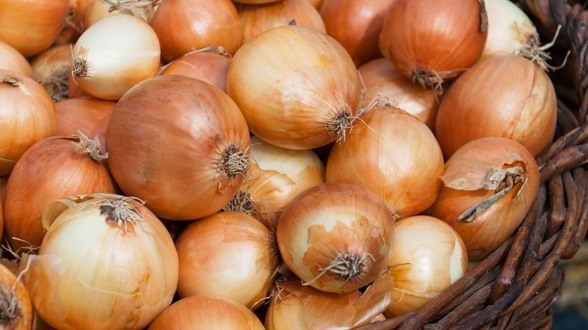Cebula ma wiele prozdrowotnych właściwości