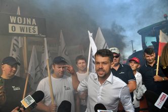 Wojna o polską świnię. "Co godzinę upadają 3 gospodarstwa"