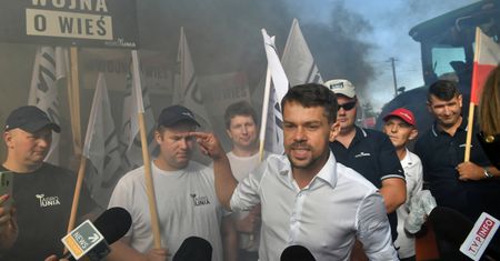 Wojna o polską świnię. "Co godzinę upadają 3 gospodarstwa"