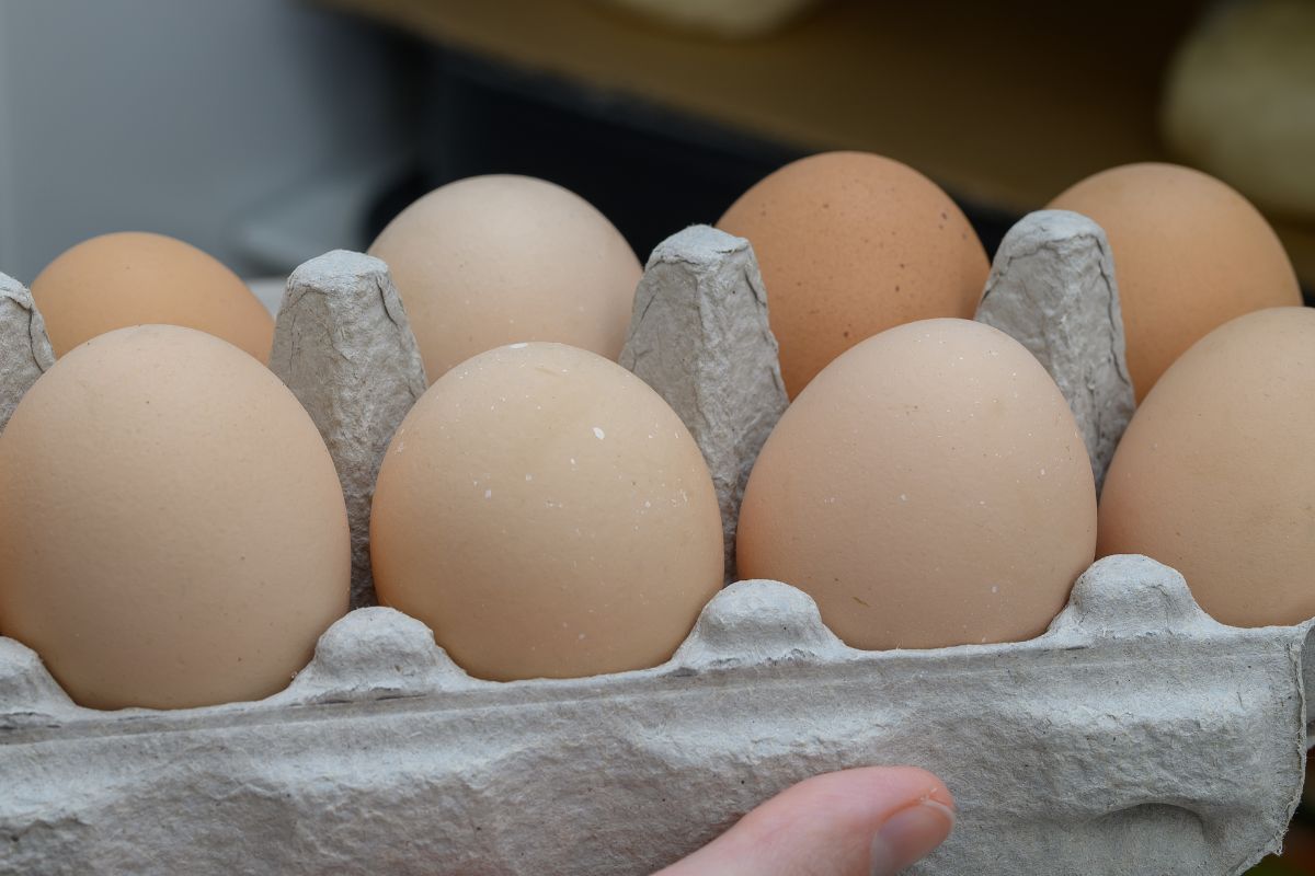 Czy rozmiar jajek ma znaczenie?