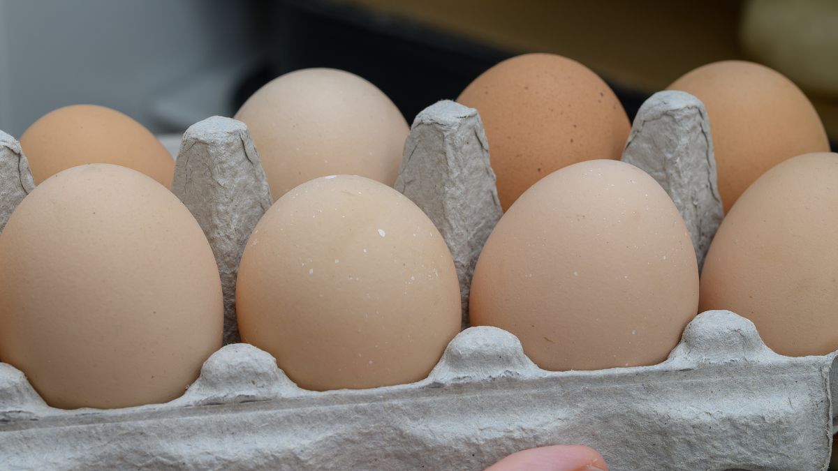 Czy rozmiar jajek ma znaczenie?