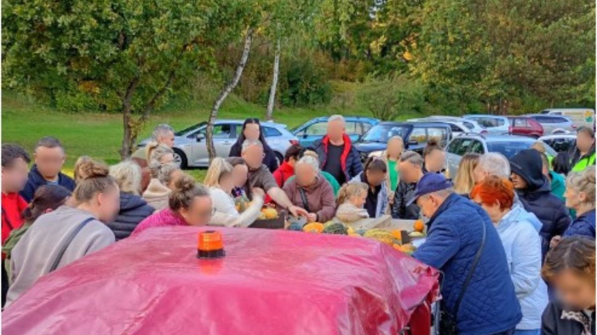 „Dyniowa Rewolucja” w Lubaniu. Całe miasto ruszyło z pomocą 80-l