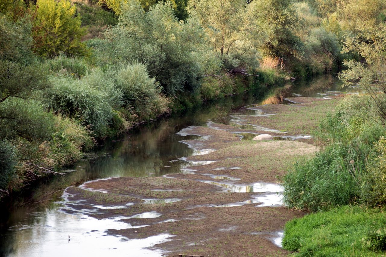 Poprawa jakości wody w polskiej rzece. Przyczyną… pandemia lub susza