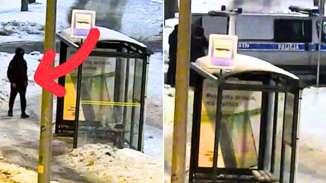 wiadomości,aktualności,WP Wiadomości Sceny w Gdańsku. Cała Polska zobaczy, co zrobił