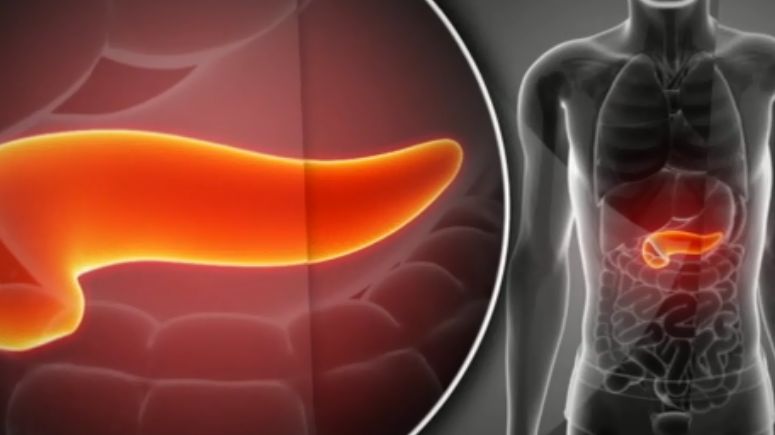 Często zapominamy o tym, że o dobrą formę trzustki trzeba zadbać 