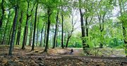Czerwony szlak rowerowy nr 1 Katowice–Pszczyna. Najpiękniejsza trasa Śląska na dwa kółka