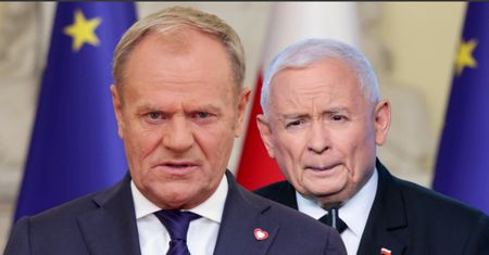 KO na prowadzeniu. Są wyniki najnowszego sondażu