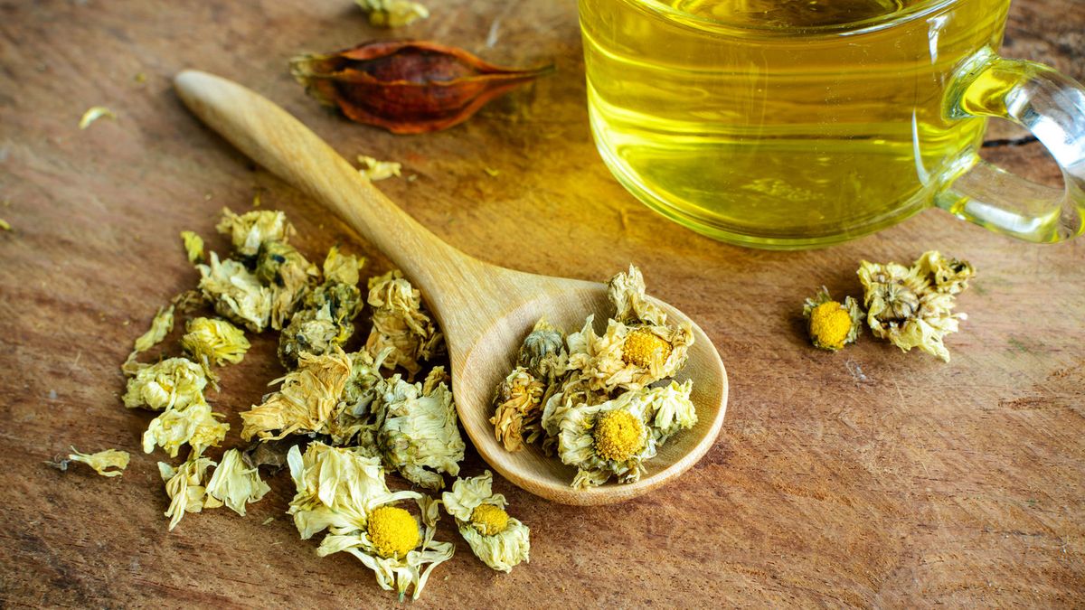 Kwiat chryzantemy od niepamiętnych czasów kojarzony jest z długowiecznością i zdrowiem