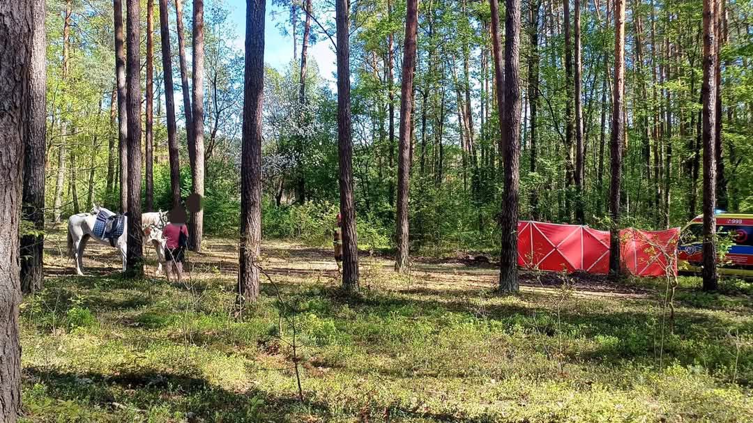 Fot. Policja Biłgoraj.  14-latka zginęła po upadku z konia