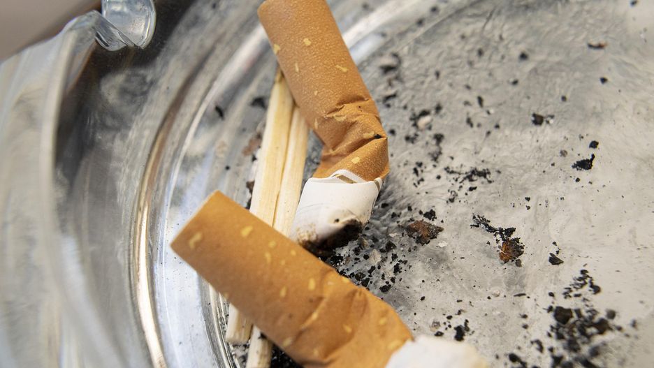 fot.  Svetlozar Hristov z Pixabay