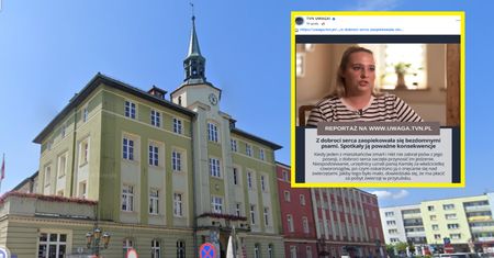 Chciała pomóc bezpańskim psom. Wpadła w poważne kłopoty