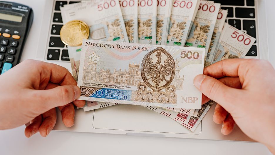 laptop, liczenie, kasa, gotówka, pln, polski, waluta, dolar, bisnes, finanse, bogactwo, banknoty, papier, holding, euro, bank, 100, inwestycja, bankowej, banknot, finansowy, my