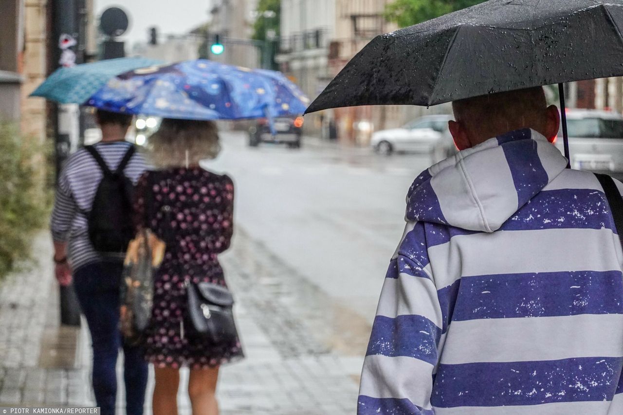 Deszcz, mgły i chłód. Taka aura czeka Polskę 11 listopada