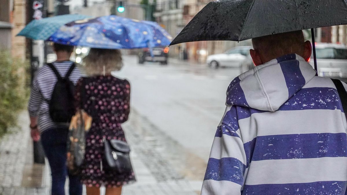 Reporter archiwum 2025 09
15.09.2025 Lodz. Parasole na ulicach miasta. Fot. Piotr Kamionka/REPORTER
Piotr Kamionka/REPORTER