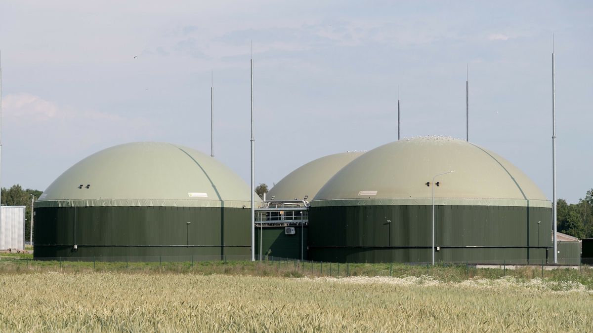 Biogazownia Falknowo Polska Grupa Biogazowa