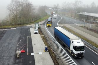 Wirus wrócił w Niemczech po 37 latach. Jest wniosek o punkty kontrolne na granicy