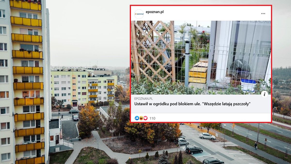 Wielkie oburzenie mieszkańców bloku. Postawił to w małym ogródku