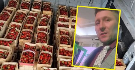 "Bardzo dziwny sezon". "Król truskawek" załamany