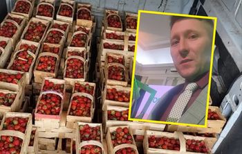 "Bardzo dziwny sezon". "Król truskawek" załamany