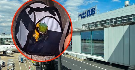 Porzucili papugę na lotnisku. Nie mogła lecieć z nimi samolotem