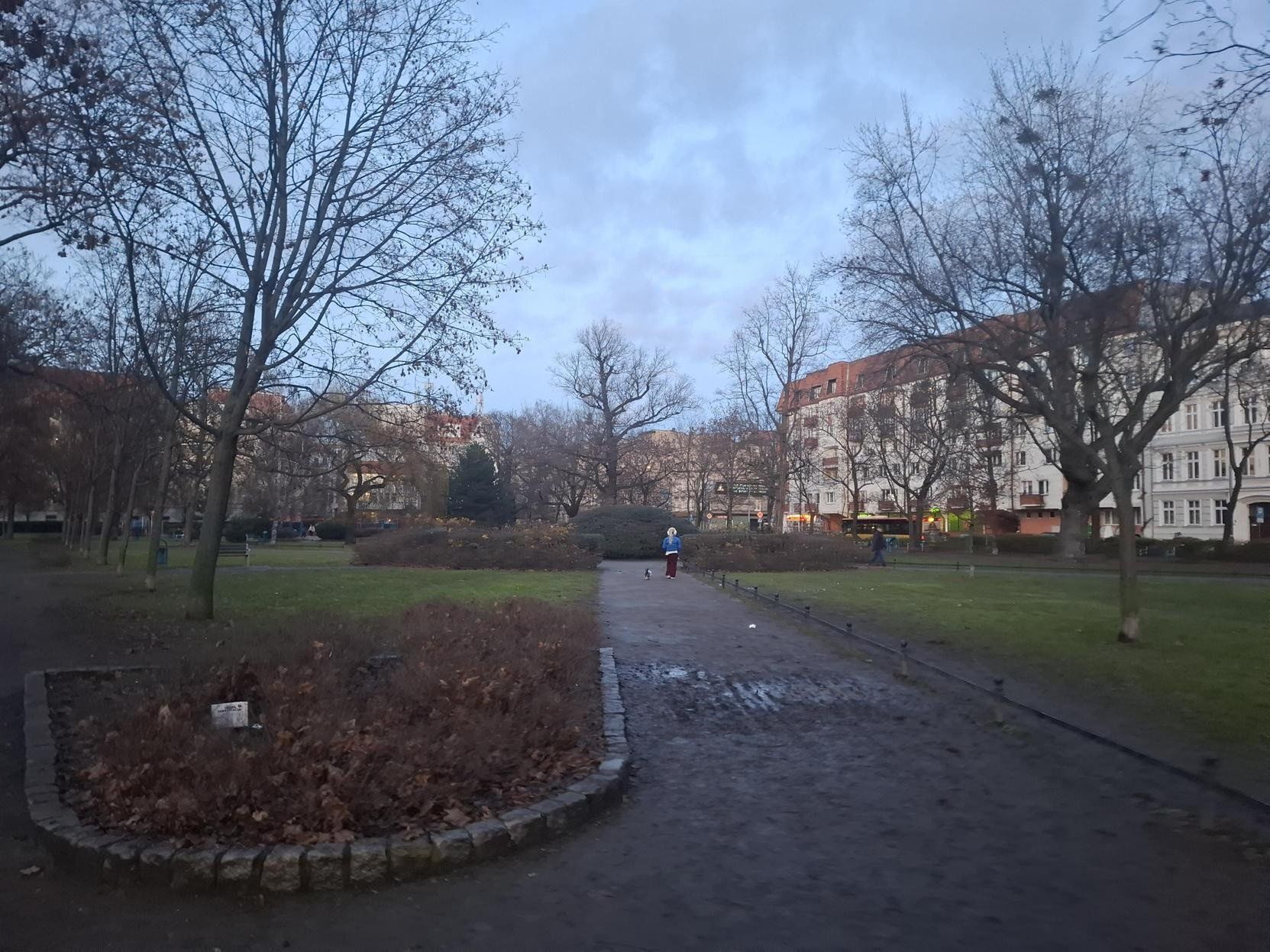 Szczurzy park we Wrocławiu. Kolejna &#34;atrakcja&#34;