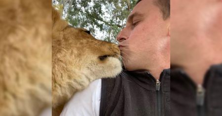Jak wygląda życie opiekuna w zoo? Te zdjęcia pokazują miłość do zwierząt