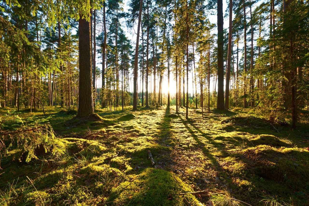 Szukacie ochłody latem? Są miejsca, gdzie "klimatyzacja" działa bez prądu