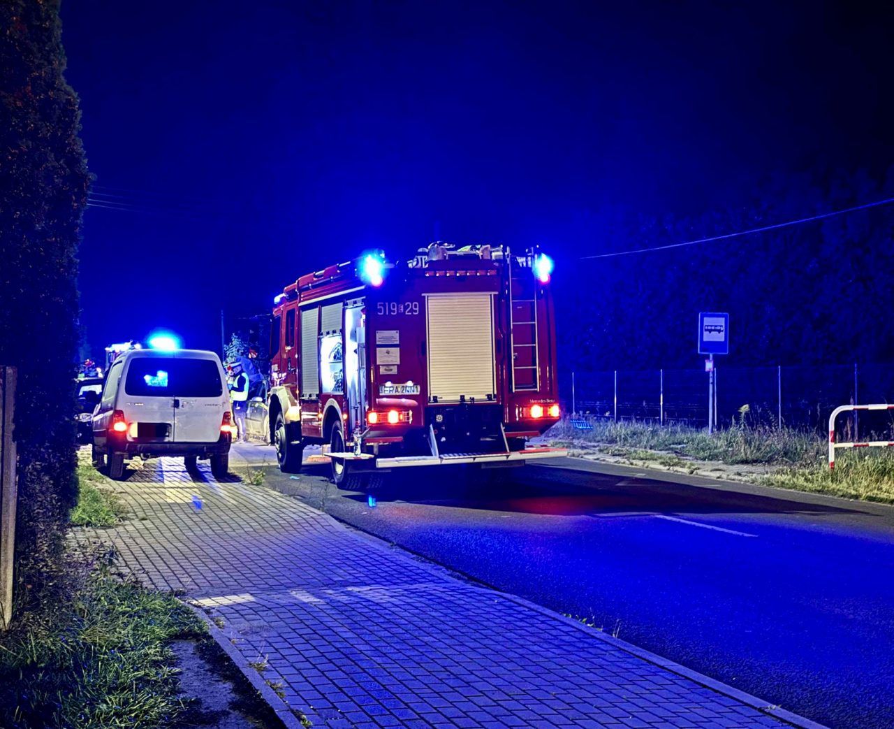 Strzałków: Ford uderzył w konia. Nieprzytomny kierowca trafił do szpitala