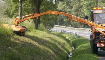 Mieszkanka Poznania nie wytrzymała. Koszą "do samej gleby"