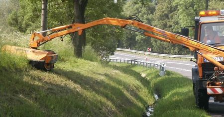Mieszkanka Poznania nie wytrzymała. Koszą "do samej gleby"